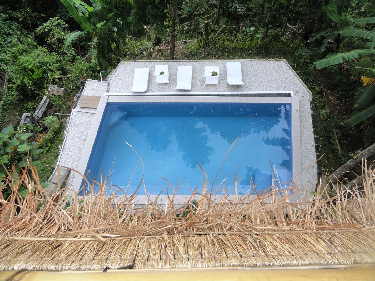 Putu Yoga Bungalow Ubud  Kolam Renang gambar