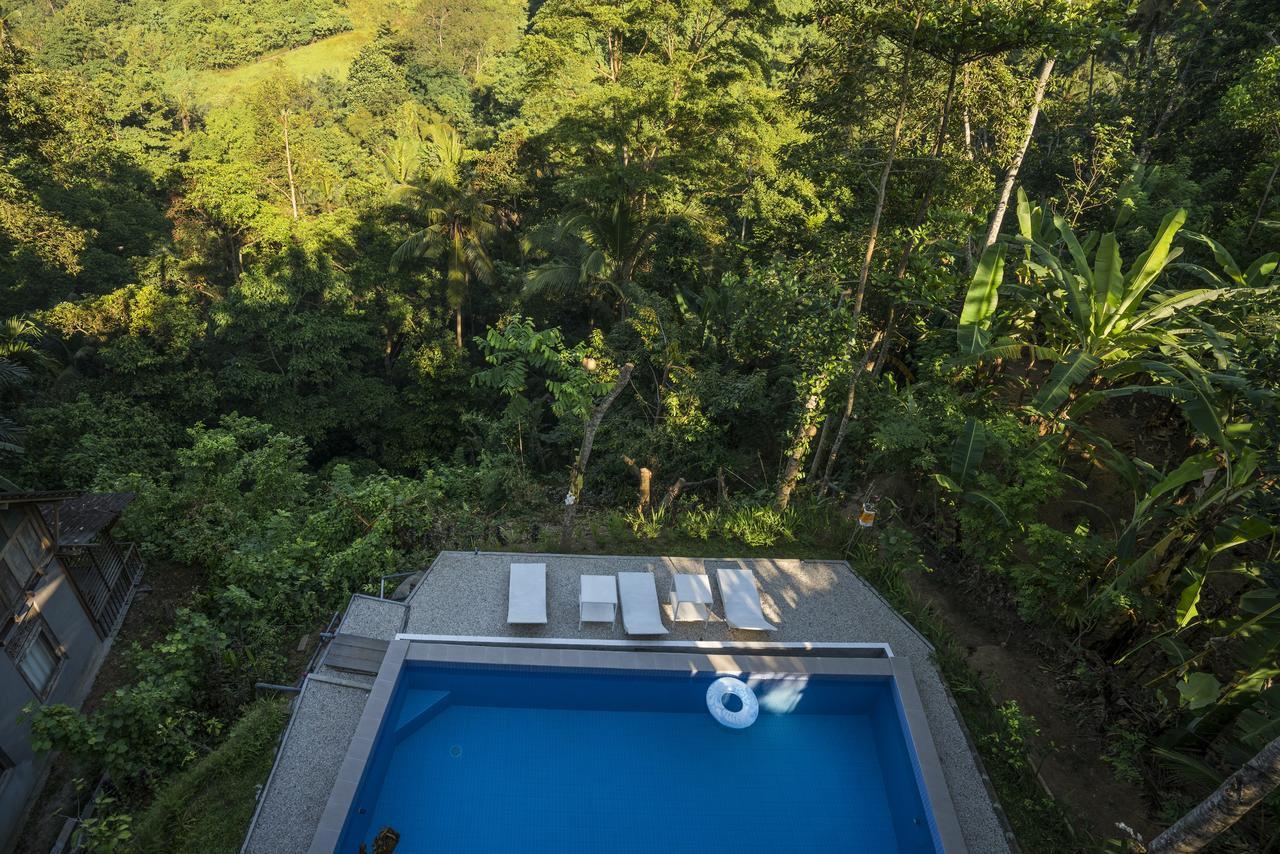 Putu Yoga Bungalow Ubud  Luaran gambar